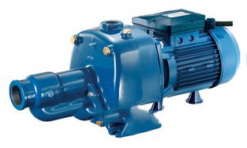 Máy bơm dân dụng Pentax CAB200-220V