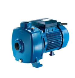 Máy bơm nước Pentax- CR100