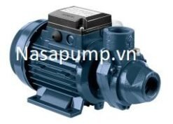 Bơm ly tâm EBARA PRA 100M